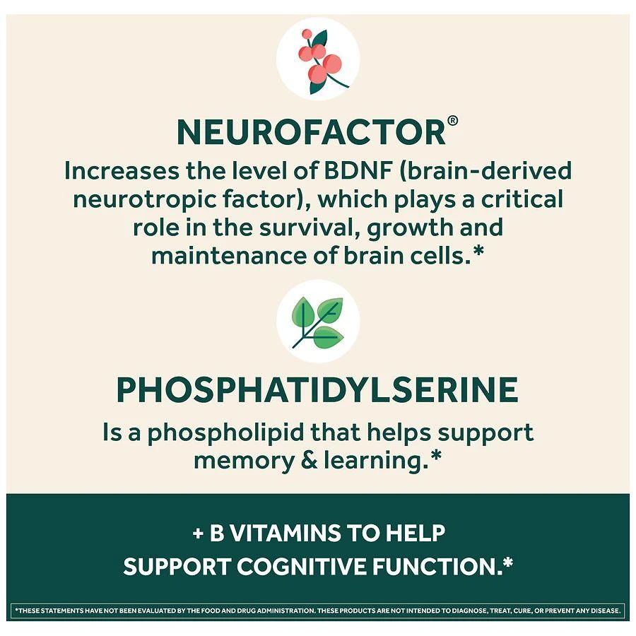 Neuriva Brain Health Supplement, Vitamins B12 & B6, Support for Memory and Focus 2