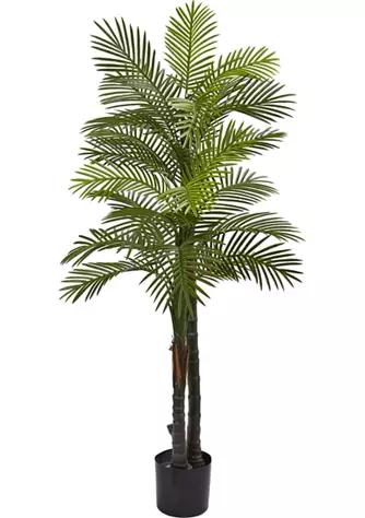 NEARLY NATURAL Natural Double Robellini Palm Tree  Indoor Outdoor