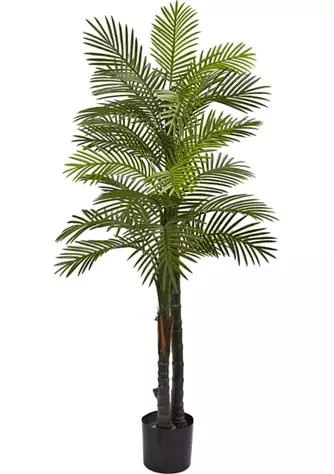 NEARLY NATURAL Natural Double Robellini Palm Tree  Indoor Outdoor 1