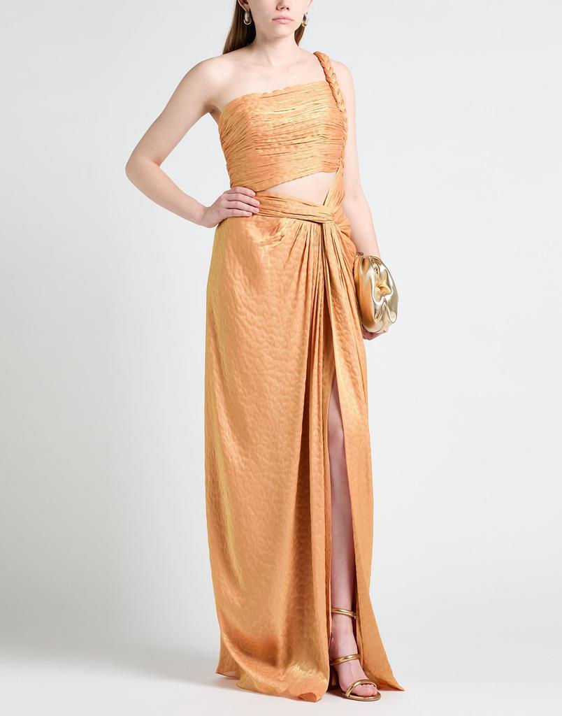 Costarellos Long dress