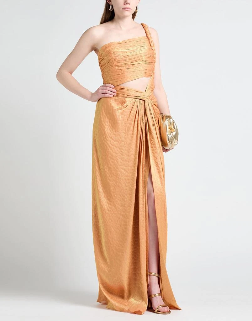 Costarellos Long dress 2