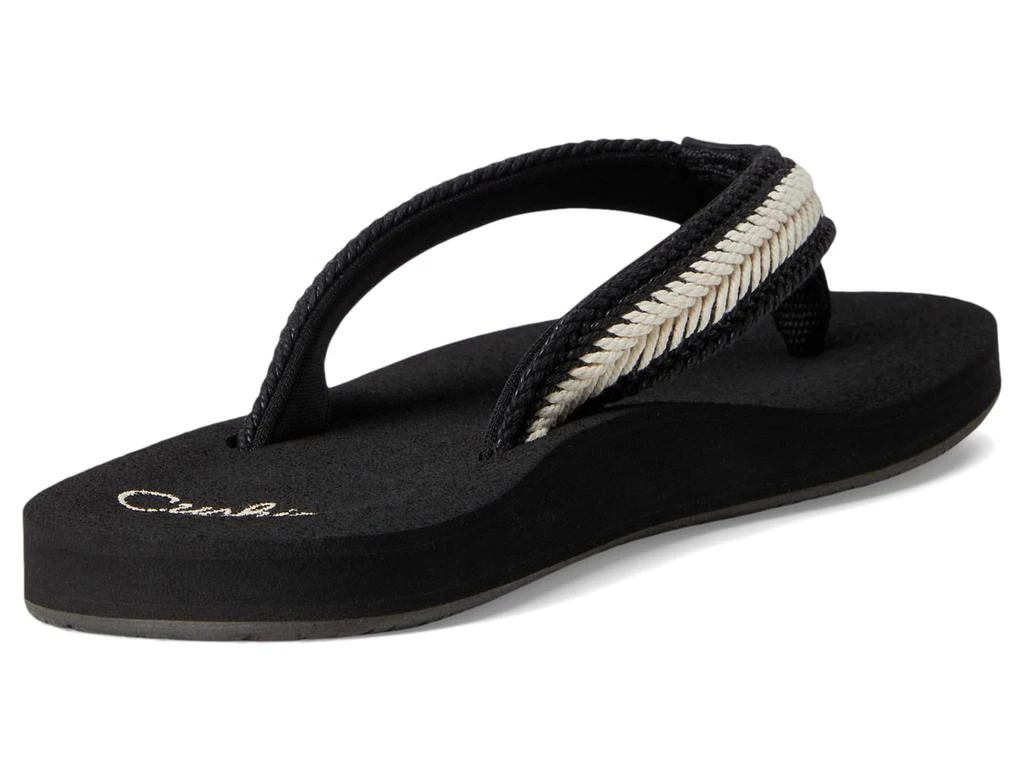 Reef Baja Maria 5