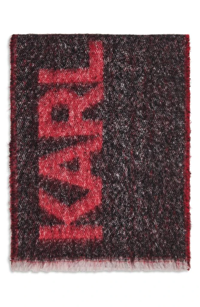 Karl Lagerfeld Paris Logo Fluffy Blanket Scarf 3