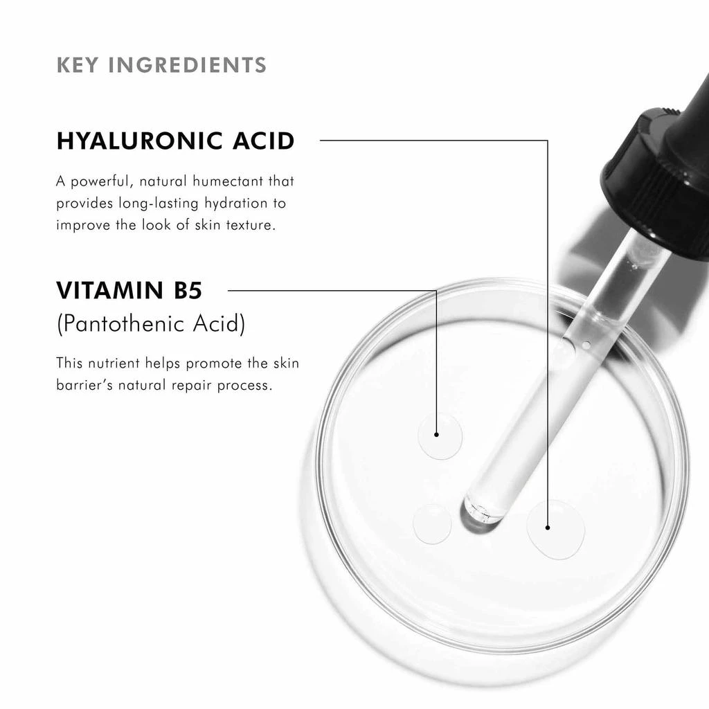 SkinCeuticals SkinCeuticals Hydrating B5 Gel 3