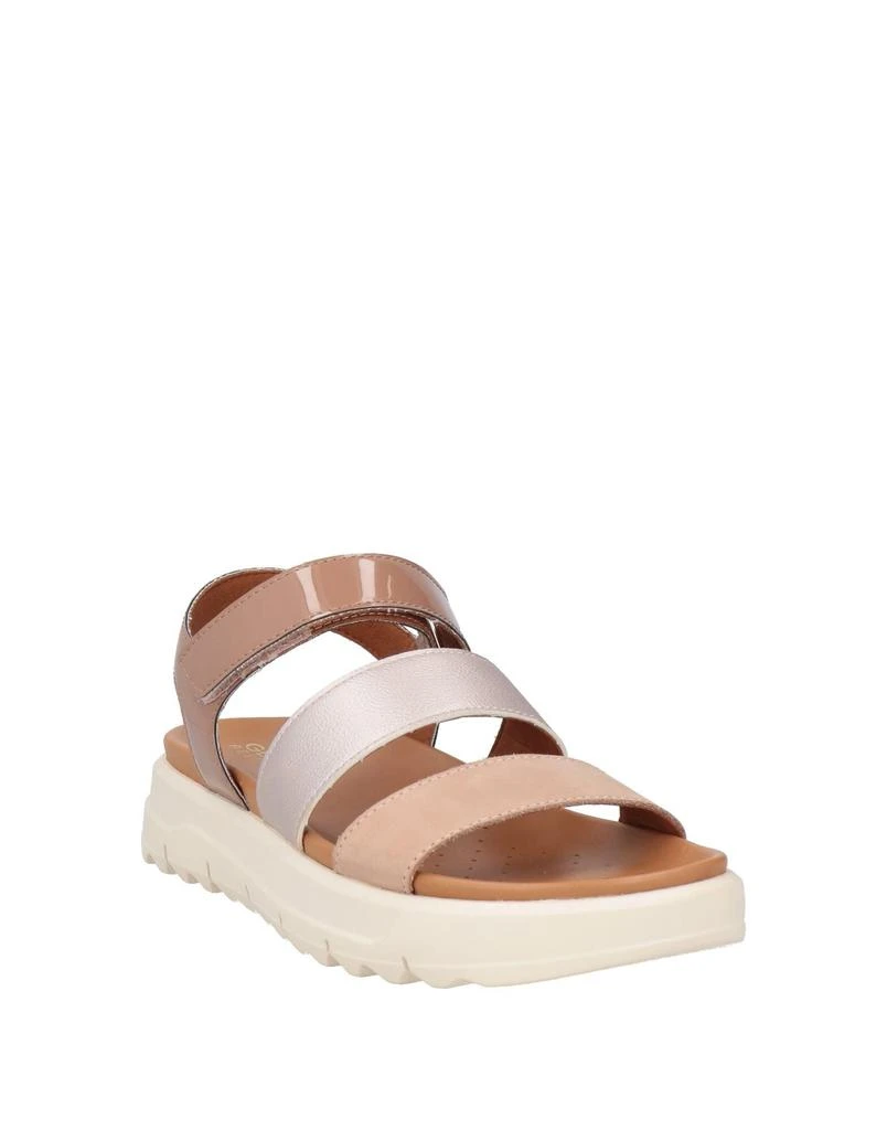 Geox Sandals 2