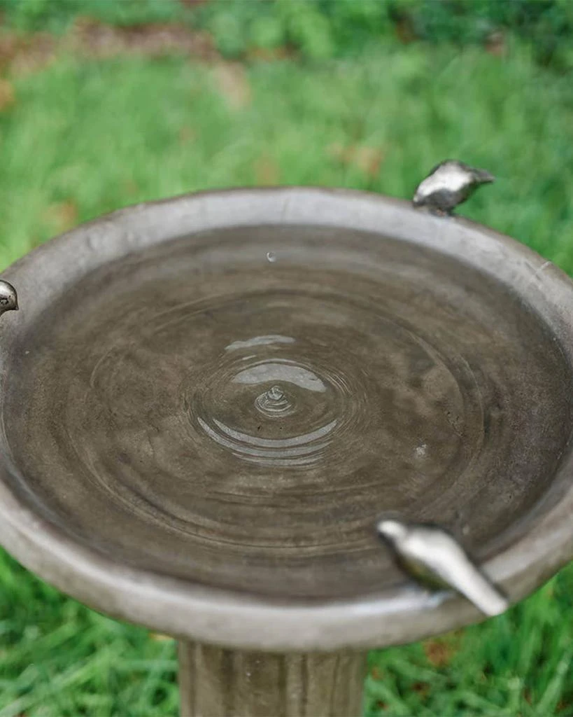 Jan Barboglio Bandada Birdbath 3