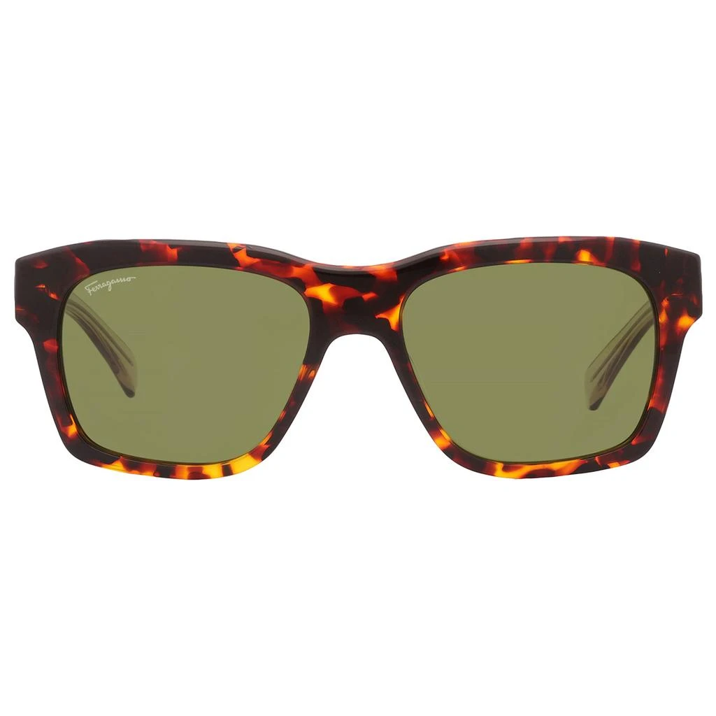 Salvatore Ferragamo Salvatore Ferragamo Green Square Men's Sunglasses SF1087S 219 56 1