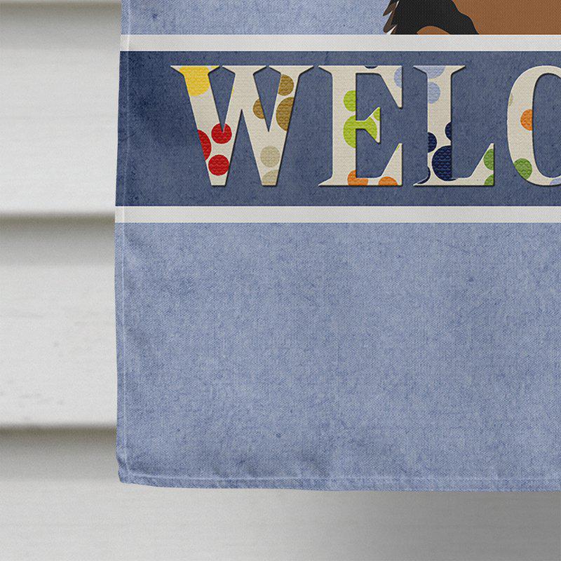 Caroline's Treasures 28 x 40 in. Polyester German Shepherd Welcome Flag Canvas House Size 2-Sided Heavyweight