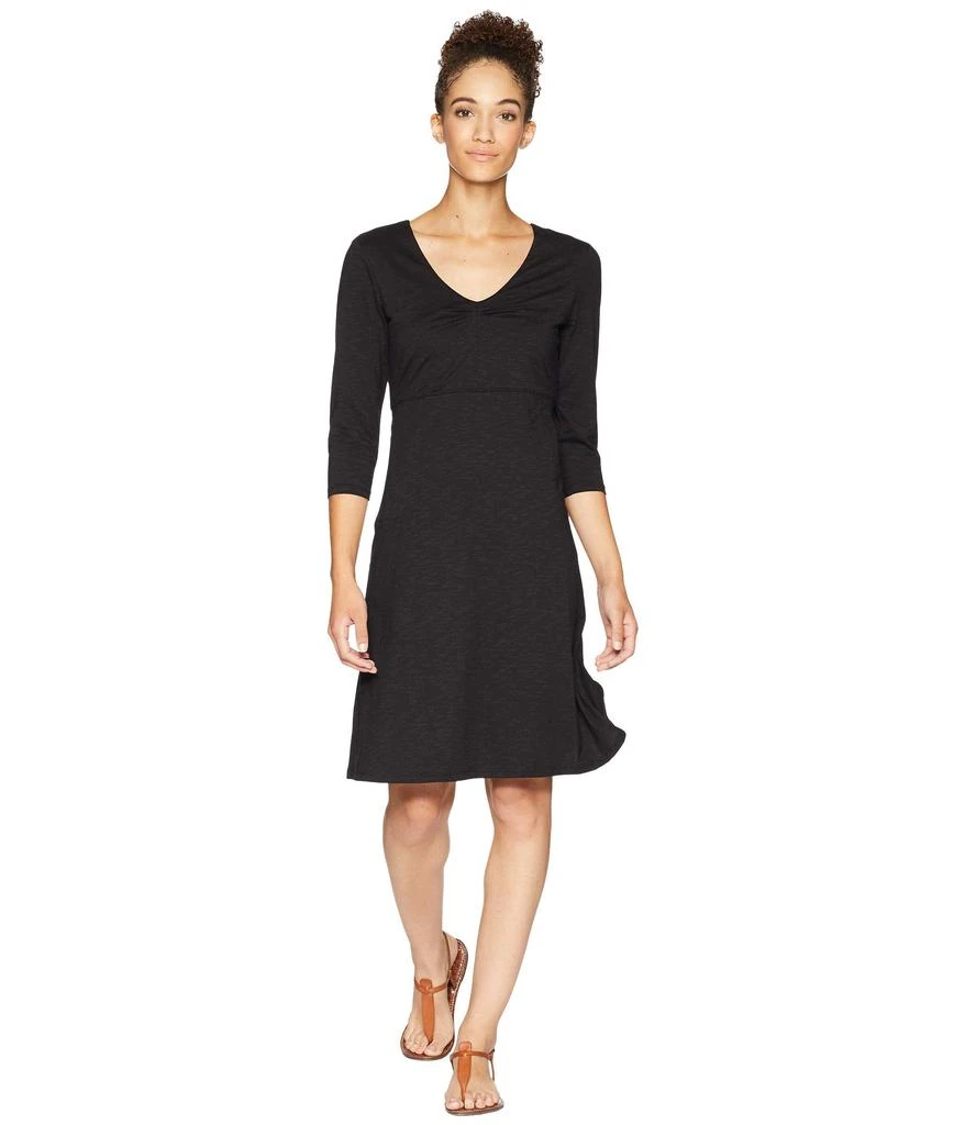 Toad & Co Rosalinda Dress 1