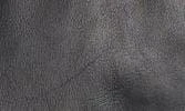 Cole Haan Classic Leather Moto Jacket 8