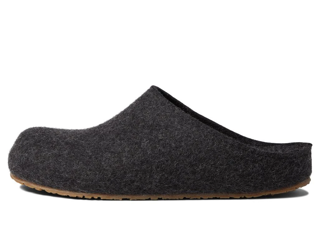 Haflinger Michl 4