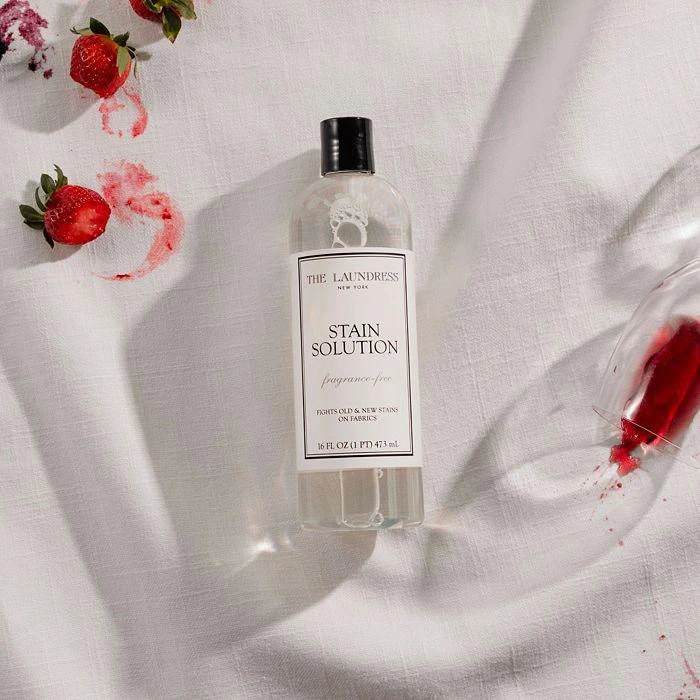 The Laundress Fragrance Free Stain Solution 5