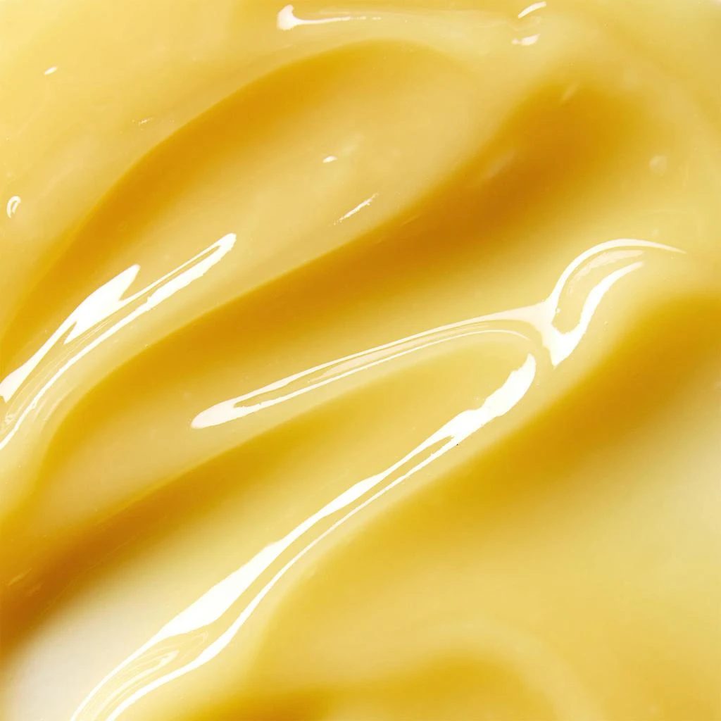 ELEMIS Elemis Pro-Collagen Cleansing Balm 100g 2