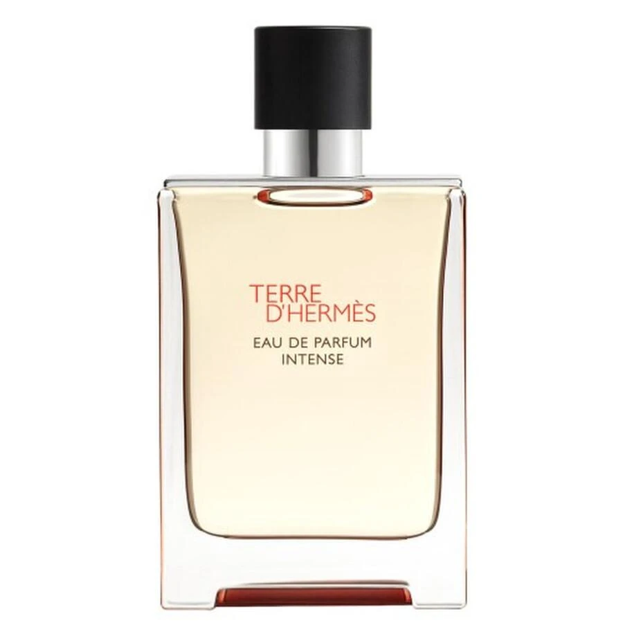 Hermes Hermes Terre D'Hermes Intense Mens EDP 2