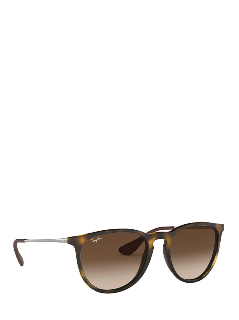 Ray-Ban Ray-Ban Erika Classic Oval Frame Sunglasses 2