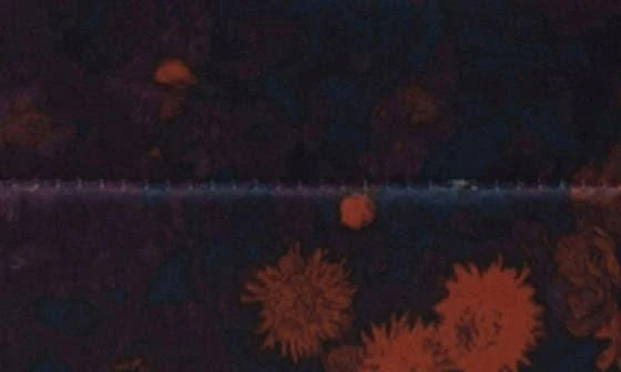 Herschel Supply Settlement Belt Bag 4