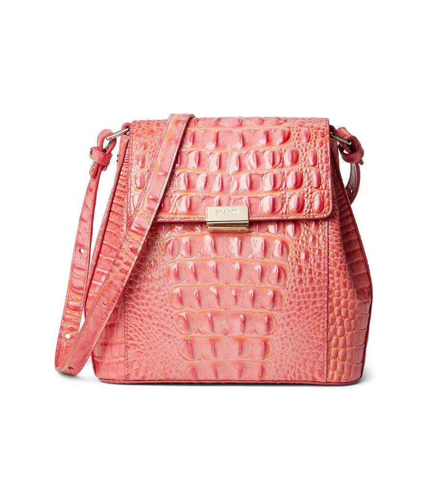 Brahmin Margo 1