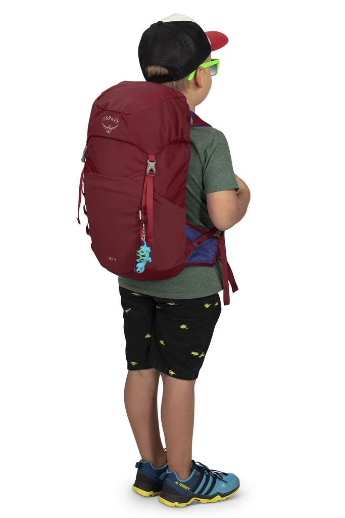 Osprey Osprey Jet 18 Kid
s Hiking Backpack 3