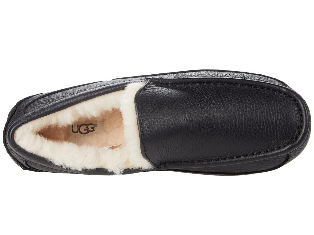 UGG Ascot Leather