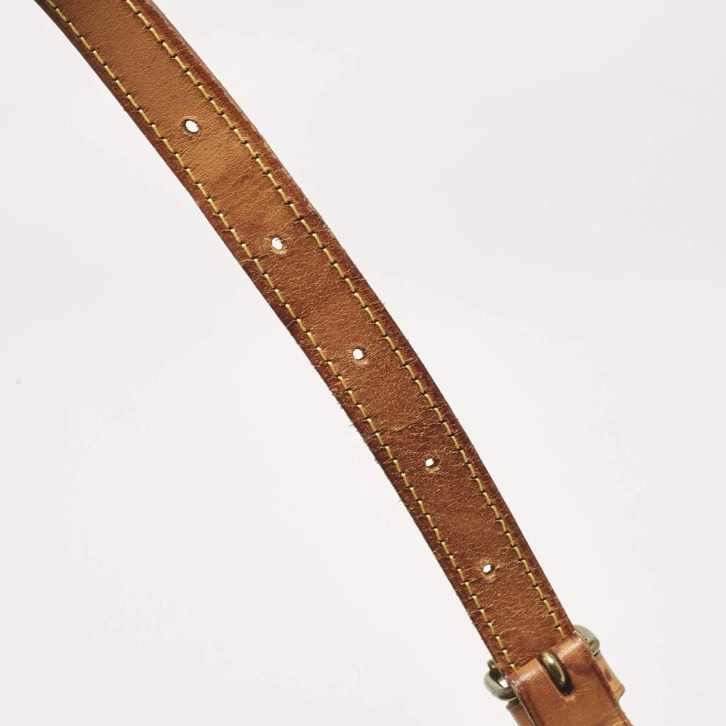 Louis Vuitton Louis Vuitton Monogram Canvas Sofia Coppola Flore Saumur 30 Bag 10