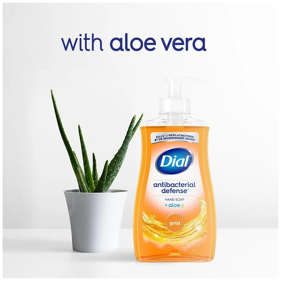 Dial Complete Antibacterial Liquid Hand Soap Gold 7