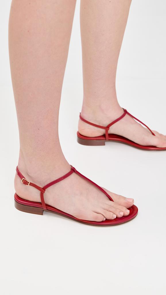 Emme Parsons Cecilia Flats