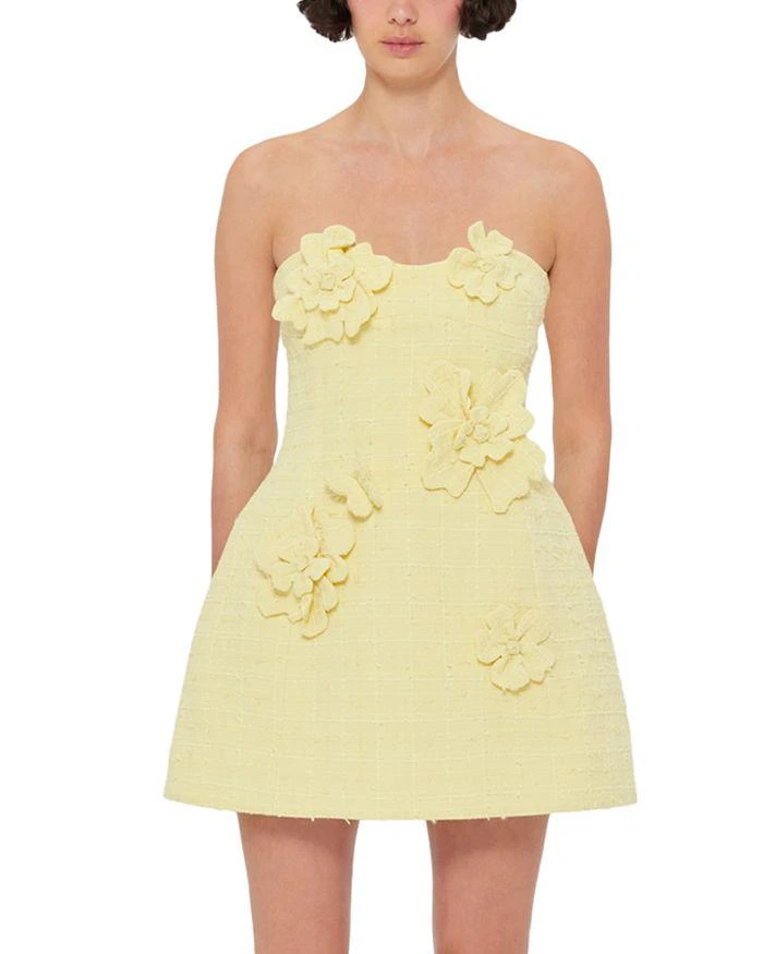 knee length dresses for ladies Rosario Appliqué Floral Bustier Mini Dress main image 1