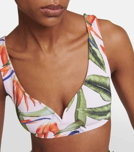 Alexandra Miro Kamala printed bikini top 4