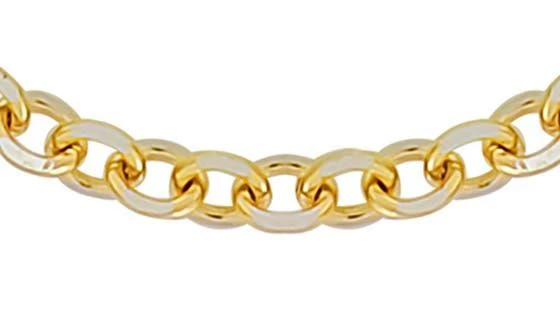 Bony Levy 14K Gold Chain Necklace 2
