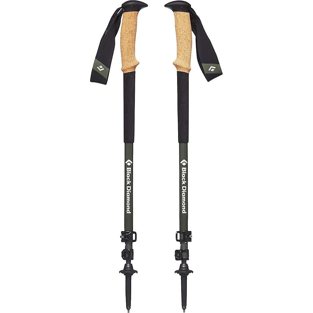 Black Diamond Black Diamond Alpine Carbon Cork Trekking Pole 2