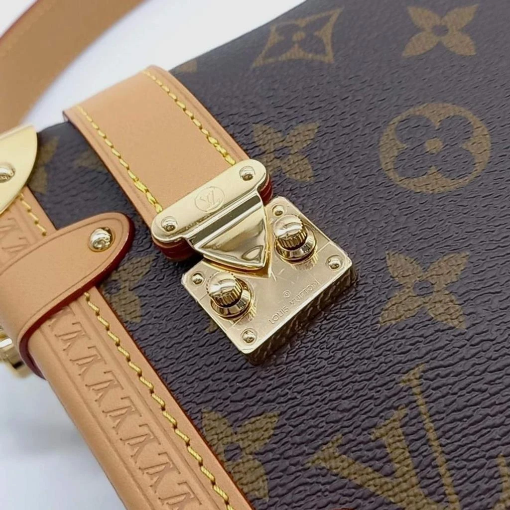 Louis Vuitton Louis Vuitton side trunk MM 5