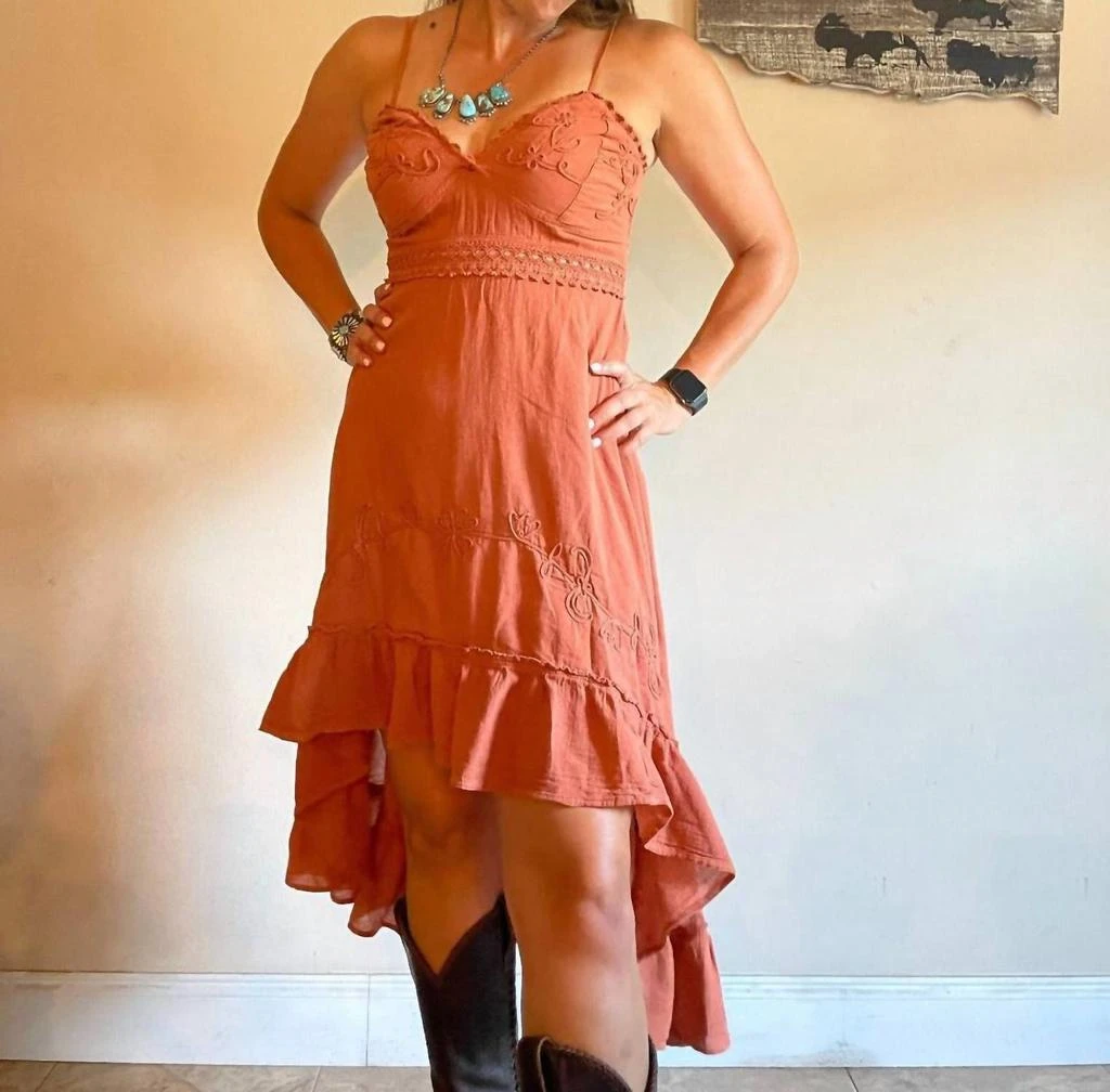 Scully Pondera Dress In Brown 1