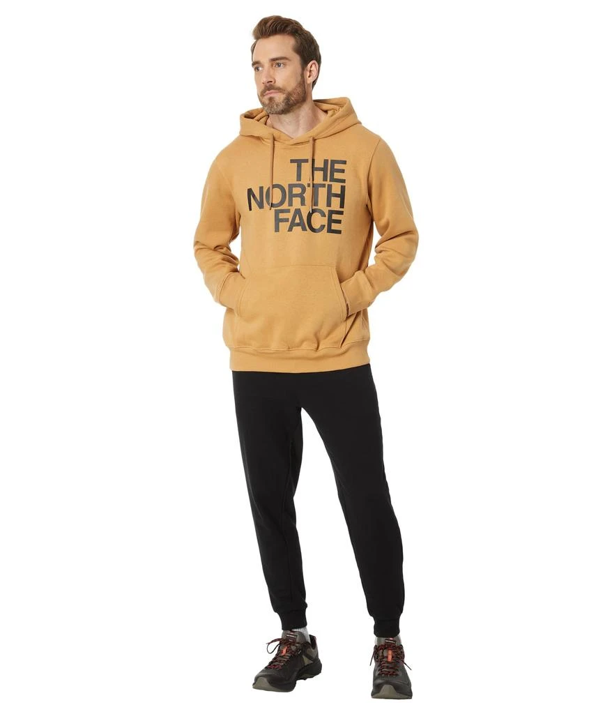 The North Face Brand Proud Hoodie 4