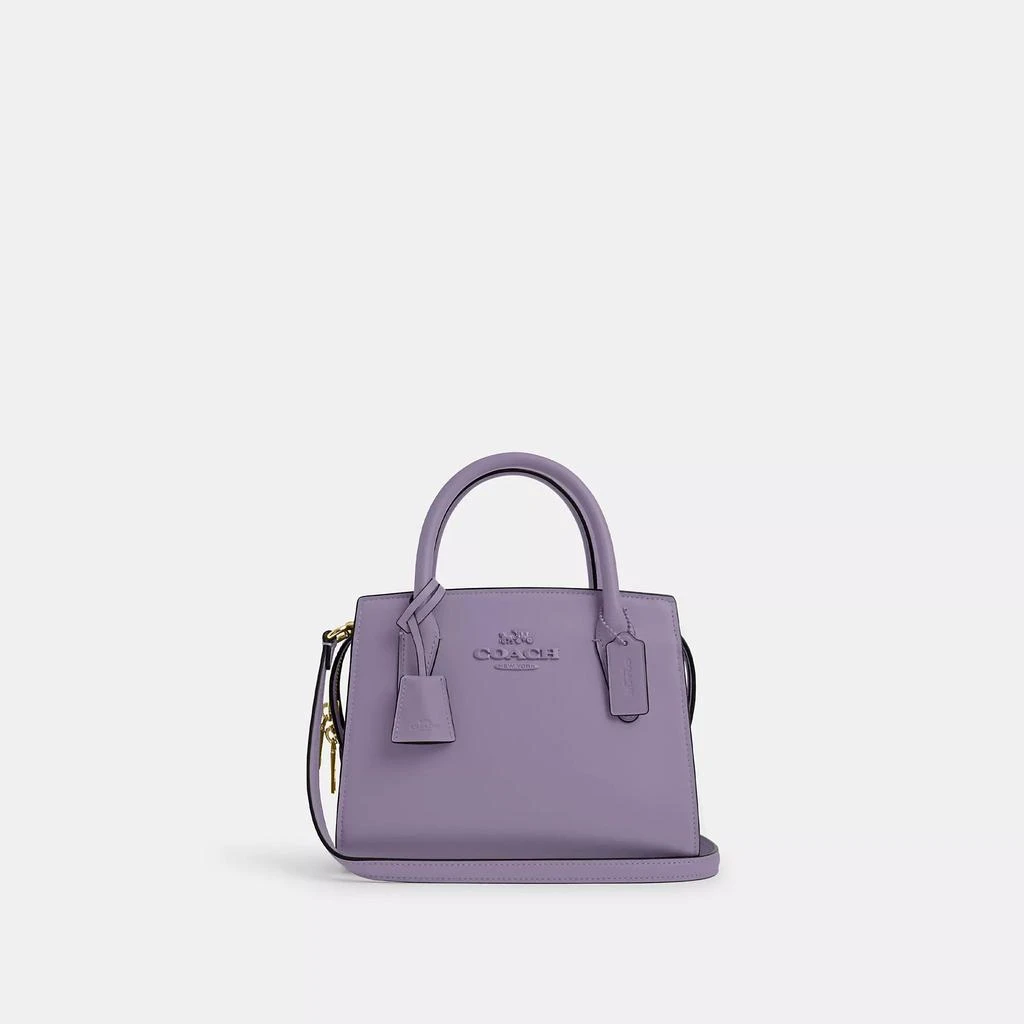 Coach Andrea Carryall 12