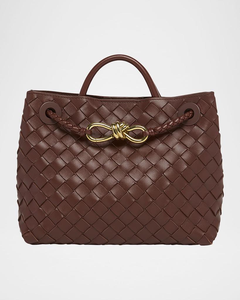 Bottega Veneta Small Andiamo Bag - Tote Bags - Compare