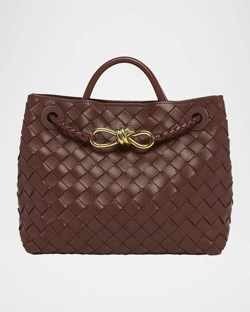 Bottega Veneta Small Andiamo Bag 1