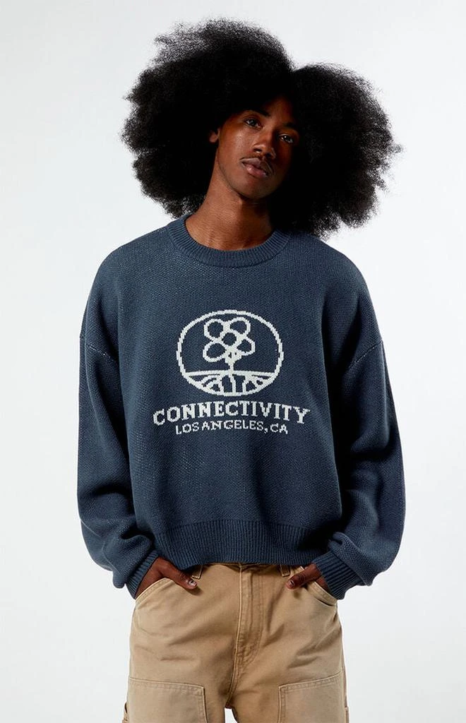 PacSun Connectivity Cropped Sweater 1