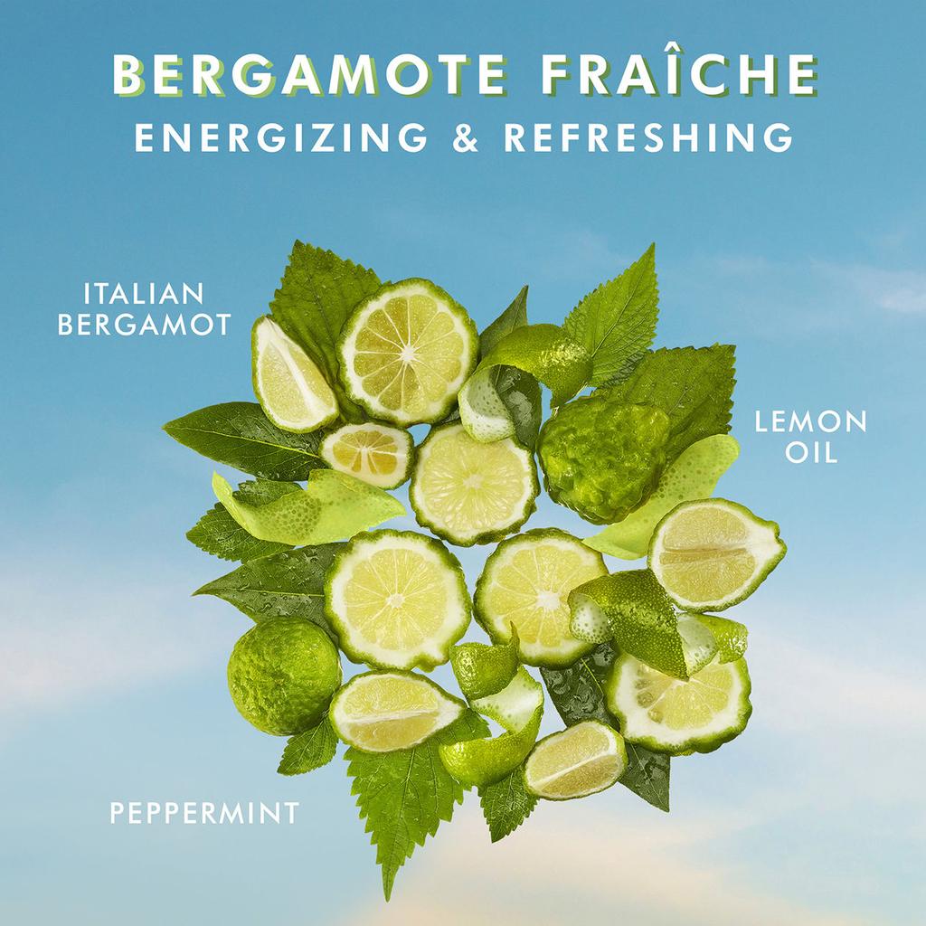 Moroccanoil Hand Cream Bergamot Frache