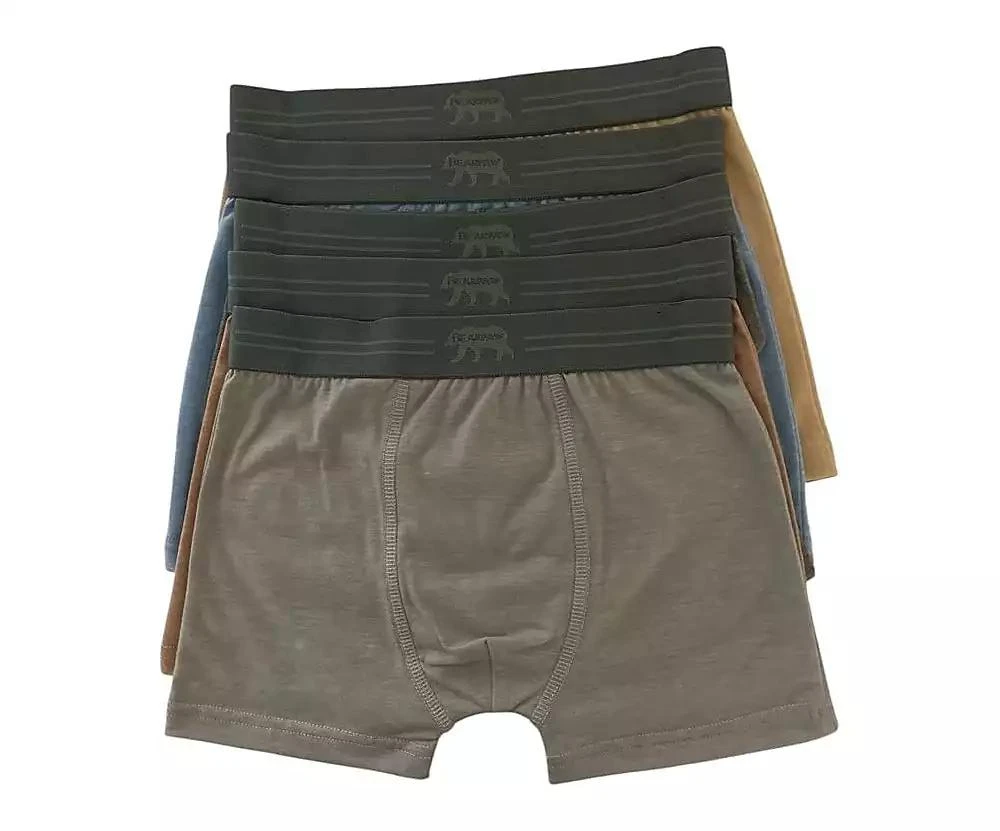 Bearpaw Boys 5-Pack Cotton Boxer Briefs, Stormy Weather 2