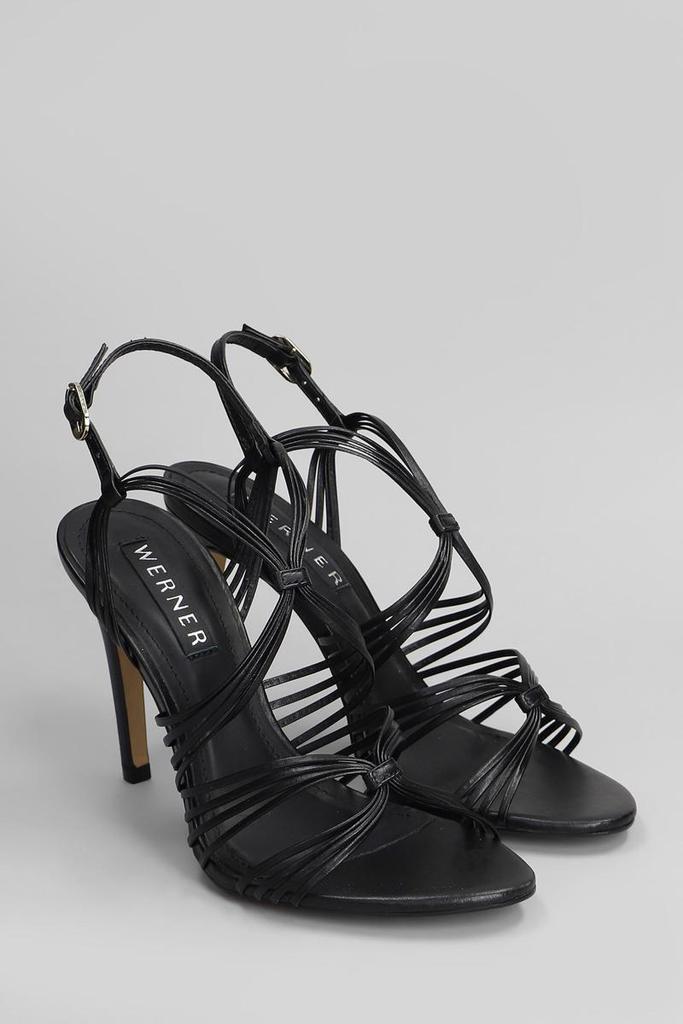 Werner Werner Sandals