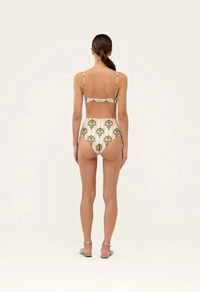 Agua by Agua Bendita Agua By Agua Bendita - Magdalena Moriche Palm Embroidered Printed Bikini Top 4