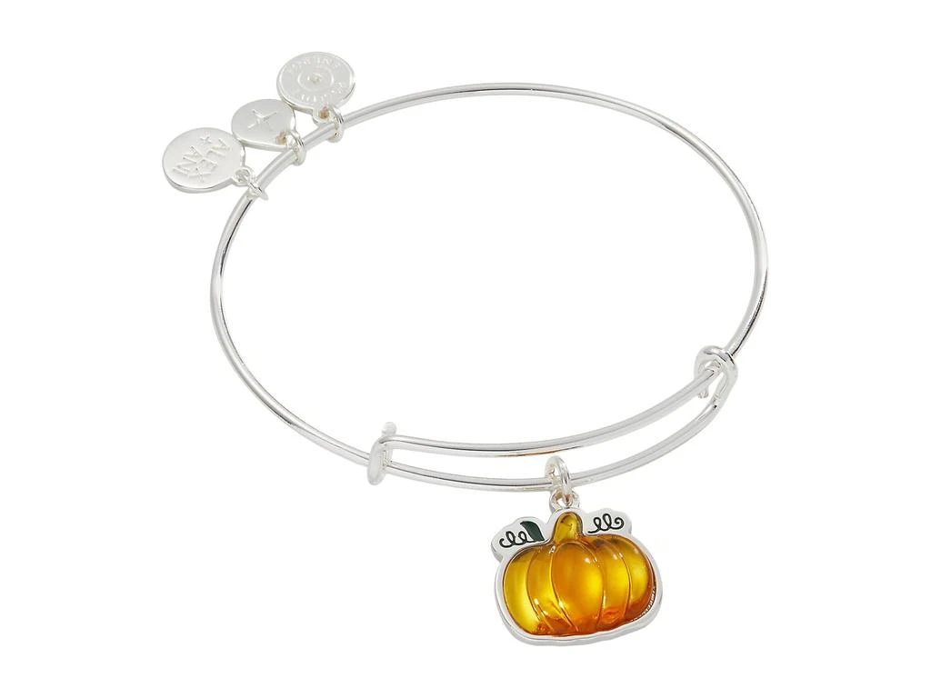 Alex and Ani Pumpkin Bracelet 1