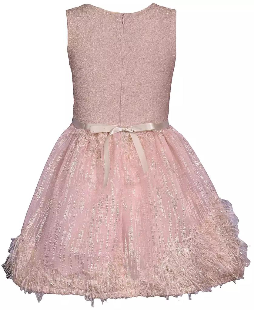 Bonnie Jean Little Girls Sparkle Knit to Feather Border Party Dress