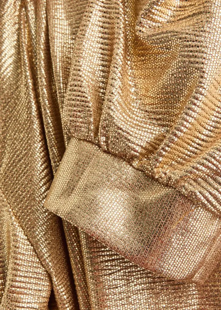 LUXE DE VALENTINA Como metallic-voile maxi dress 5