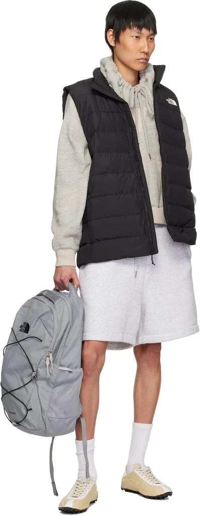 The North Face Gray Jester Backpack 4
