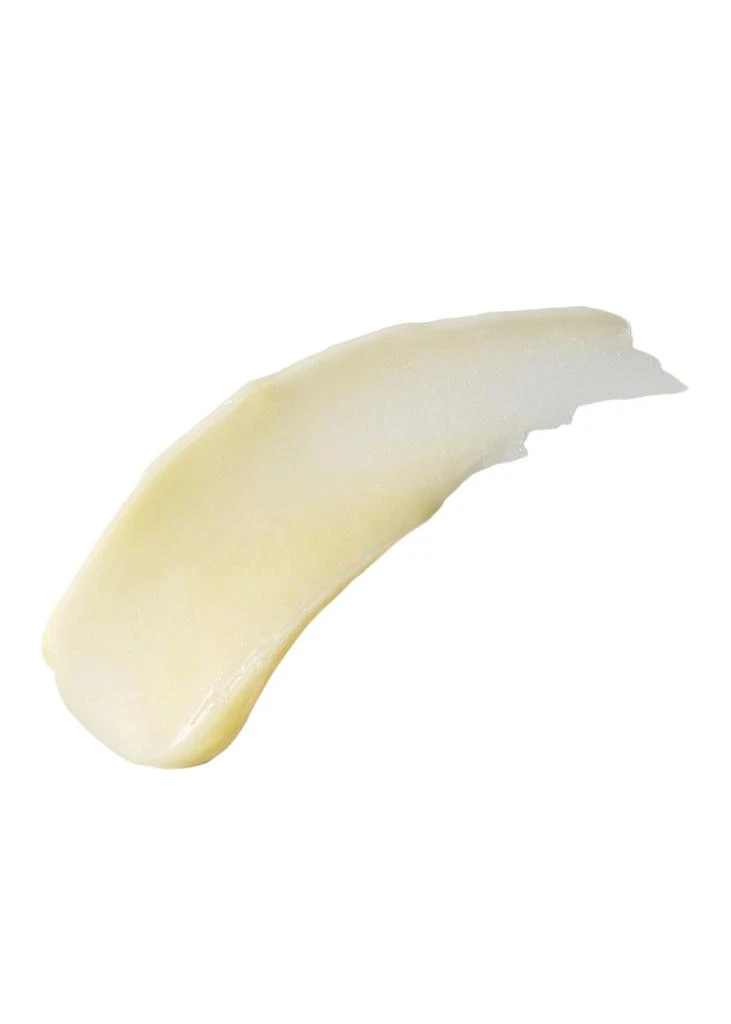 Kiehl's Buttermask For Lips 10g 2
