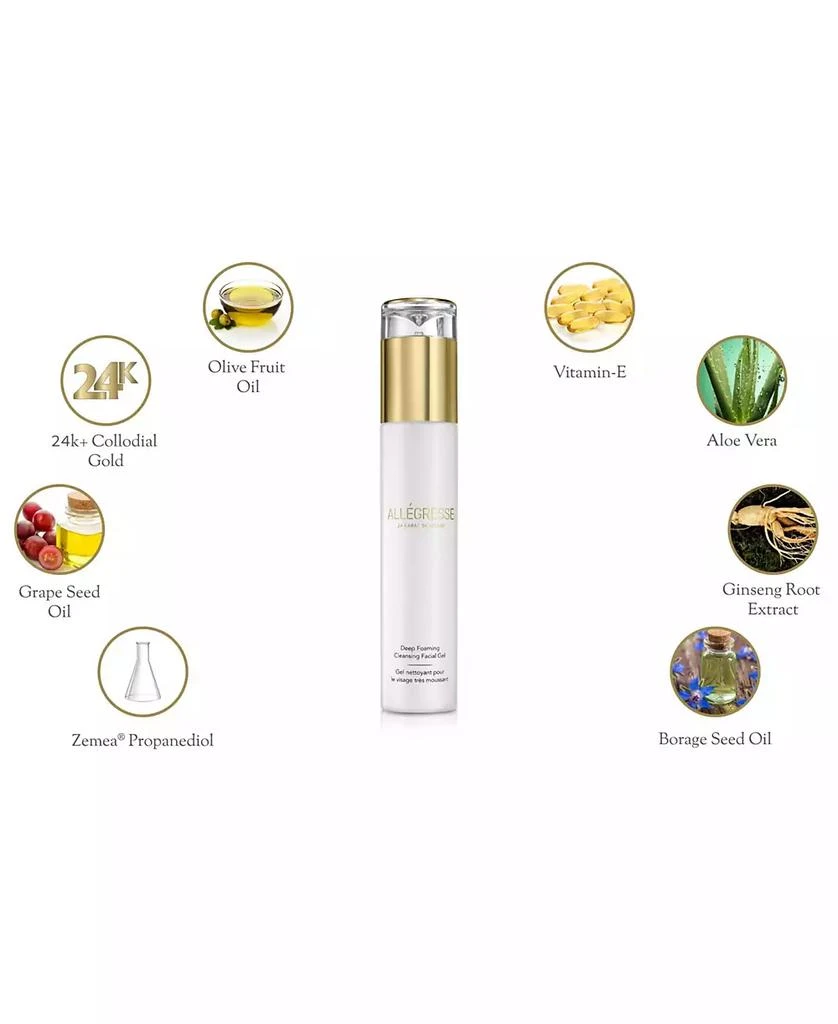 Allegresse 24 Karat Skin Care Allegresse 24K Skincare Deep Foaming Cleansing Facial Gel 4.0 oz 3
