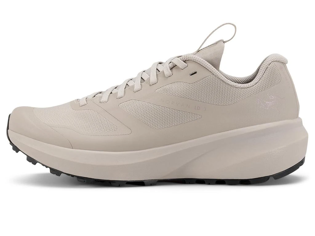 Arc'teryx Norvan LD 3 GTX 1