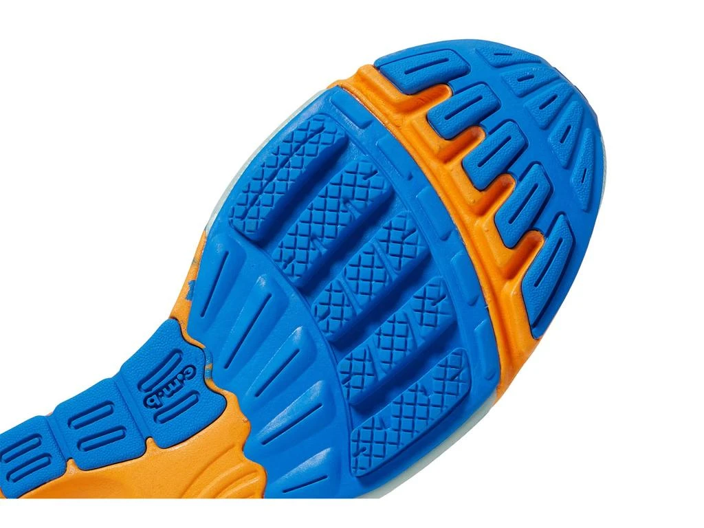 Newton Running Kismet 8 6