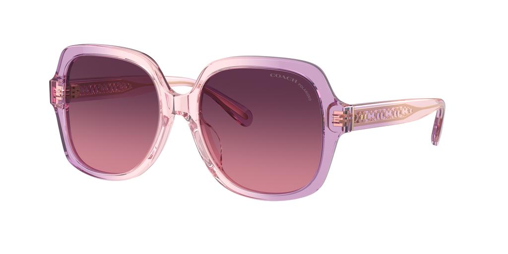 Coach Coach Woman Sunglass HC8395U CR614